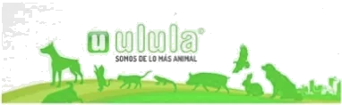 Ulula